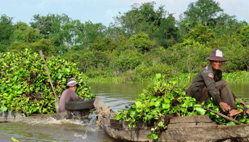 MEKONG DELTA 2 DAYS 1 NIGHT EXIT TO CAMBODIA BY BOAT ( CAI BE - VINH LONG - CHAU DOC - PHNOM PENH )