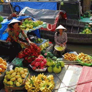 SAIGON MEKONG DELTA TOUR 4 DAYS (TRIPS AND TOURS FROM SAIGON)