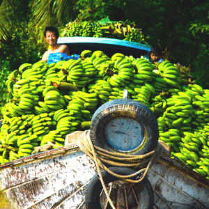 MEKONG DELTA 3 DAYS 2 NIGHTS EXIT PHNOM PENH