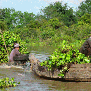 MEKONG DELTA 2 DAYS 1 NIGHT EXIT TO CAMBODIA BY BOAT ( CAI BE - VINH LONG - CHAU DOC - PHNOM PENH )