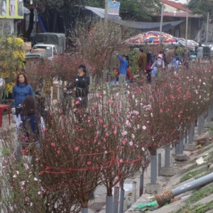 Khách Tây hướng dẫn cách chơi Tết ở Việt Nam