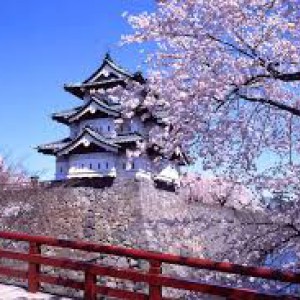 Khám Phá Các Danh Thắng Nổi Tiếng Qua Tour Lễ Hội Hoa