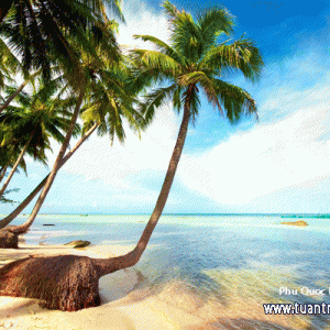 DAILY TOUR FROM SAIGON - PHU QUOC - SAIGON ( 3 DAYS 2 NIGHTS )