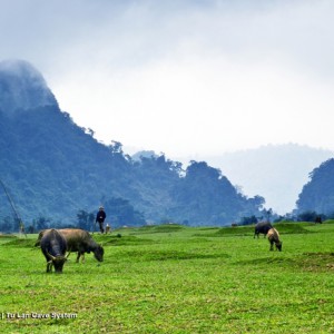 Cảnh đẹp Việt trong bom tấn Kong: Skull Island