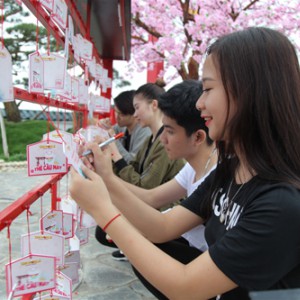 Lễ hội Mặt trời mọc mang đậm phong cách Nhật tại Hạ Long