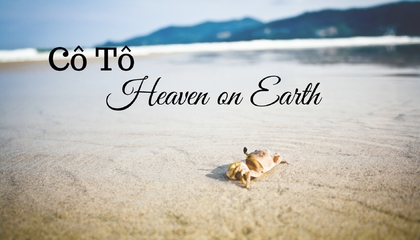 Tour Cô Tô 2 Ngày 1 Đêm, Tour Đoàn , Giá Cực Tốt