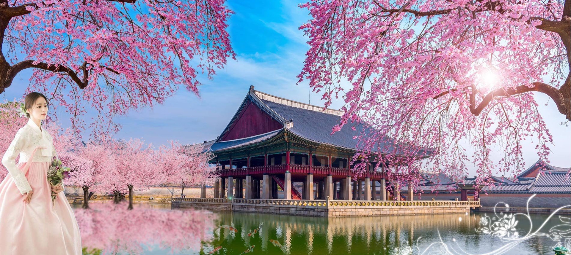 Du lịch Hàn Quốc mùa Hoa anh đào