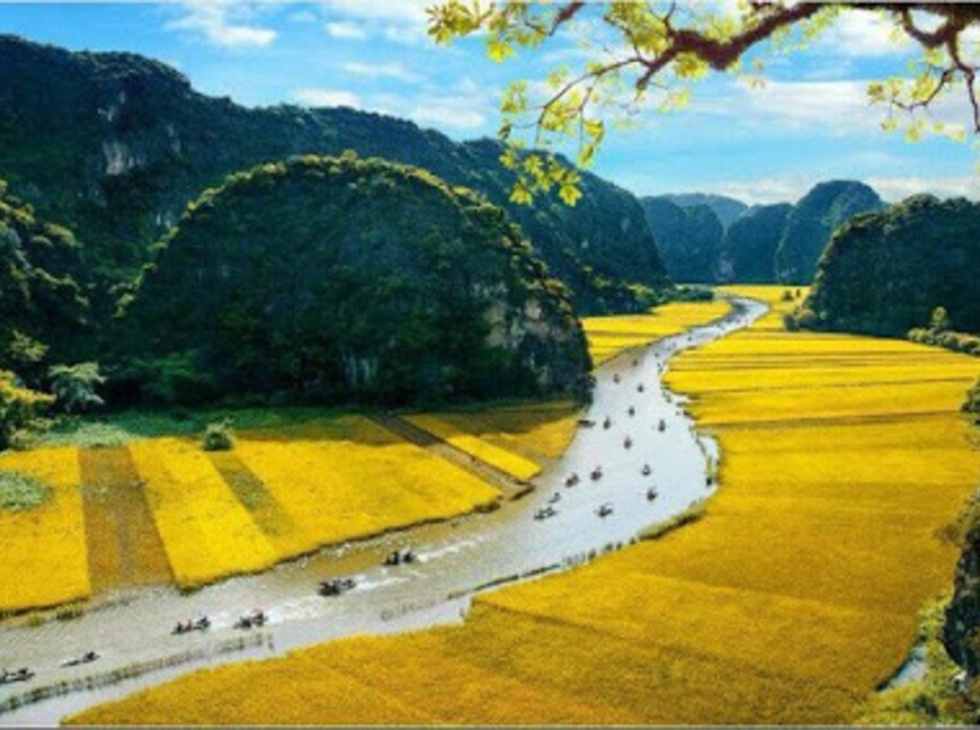 Hoa Lư - Tam Cốc 1 ngày