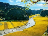 Hoa Lư - Tam Cốc - Hang Múa 1 ngày