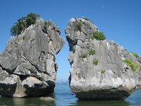 (Noel,Tết Tây)HCM-Hà Nội - Ninh Bình-Du Thuyền Hạ Long-4N3D-1 Đêm Ngủ Du Thuyền 5 Sao
