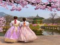 Mùa Hoa Anh Đào,Seoul,Đảo Nami,Công viên Everland-4n4d-ks 4 sao