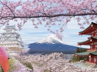 Hoa anh đào-Osaka-Kyoto-Nagoya-Núi phú sĩ-ibaraki-Tokyo-5N5D-KS 3,4 Sao