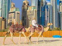 (Mồng 3 Tết) Khám Phá Sa Mạc-Abu Dhabi–Khám Phá Sa Mạc Safari-6n5d