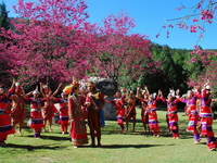 Cao Hùng-Đài Trung-Đài Bắc-5N4D-KS 3,4 Sao(Bay Sáng)