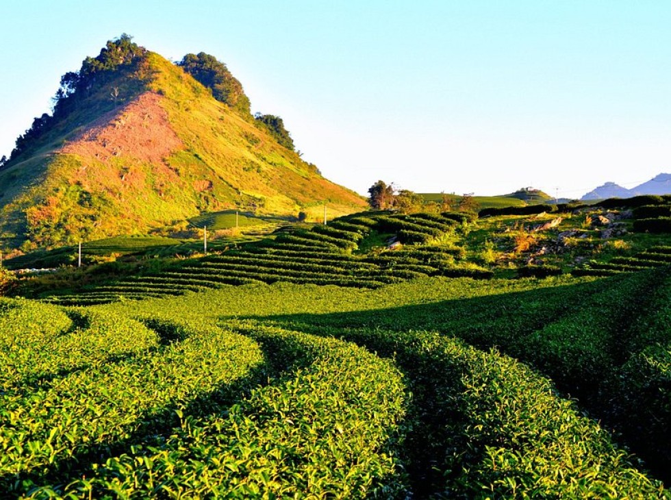 Mai Châu - Mộc Châu - Cầu Kính Bạch Long 2N1D (Mường Thanh 4)