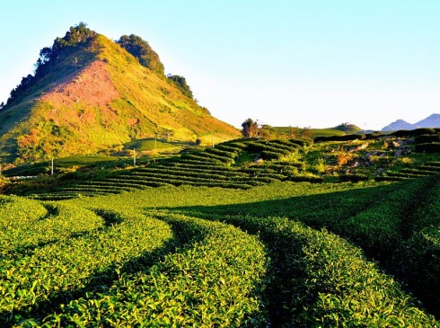 Mai Châu - Mộc Châu - Cầu Kính 3N2D (2 đêm ngủ homestay)