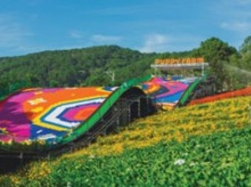 Hồ Chí Minh-Nha Trang-Đà Lạt-4N3D-Khởi Hành Hàng Ngày