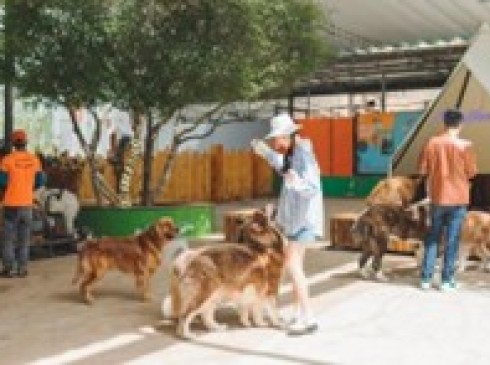 Nha Trang-Con Sẻ Tre-Hang Rái-Bãi Tranh-4N3D-Khởi Hành Thứ 5,6,7 Hàng Tuần