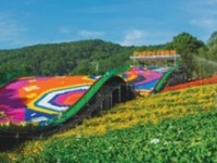 Hồ Chí Minh-Nha Trang-Đà Lạt-4N3D-Khởi Hành Hàng Ngày