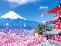 Hoa Anh Đào-Hà Nội–Osaka-Kobe-Kyoto-Phú Sĩ–Tokyo-6N5D-Hàng Không Vietnam Airlines