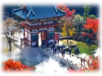 Du Lịch Hè-Osaka-Kobe-Kyoto-Nagoya–Yamanashi-Tokyo-5N5D-Hàng Không VietJet Air