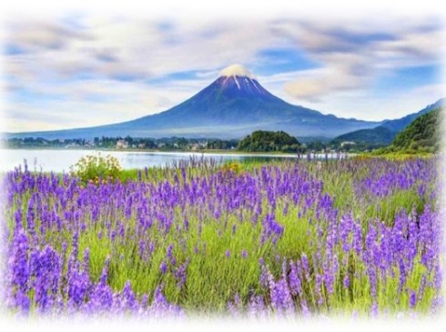 Lễ 30/4-Osaka–Kobe-Kyoto–Nagoya–Yamanashi-Tokyo-5N5D-Hàng Không VietJet Air