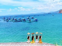 Mồng 1,2,3,4,5 Tết-Quy Nhơn-Kỳ Co-Eo Gió-Phú Yên-Ghành Đá Đĩa-Ks 3 Sao