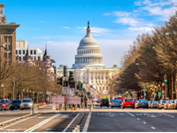 Hoa Anh Đào-Liên Tuyến Đông Tây Hoa Kỳ-Loes Angeles-Washington-New York-10N9D