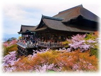 Nhật Bản-Tokyo-Núi Phú Sĩ-Nagoya-Kyoto-Osaka-6N5D-Hàng Không Vietnam Airlines