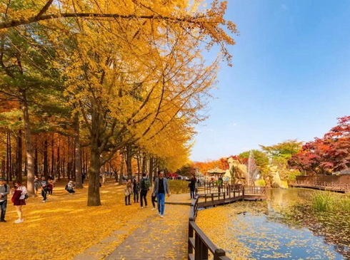 Khám Phá Vương Triều Silla-Busan–Gyeongju–Ulsan-5N4D-Ks 4 Sao-Hàng Không Vietnam Airlines