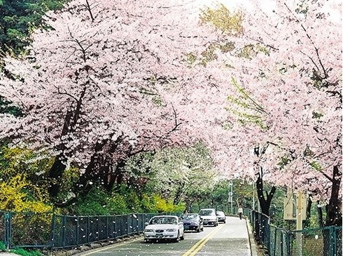 Busan–DaeGu-Seoul-Đảo Nami-Cung điện Kyeongbok-6N5D-KS 3,4 Sao-Vietnam Airlines