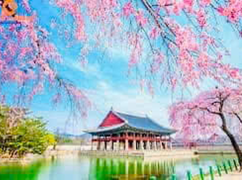 Hoa Anh Đào-Hàn Quốc-Busan–DaeGu-Seoul-6N5D-KS 3,4 Sao-Vietnam Airlines