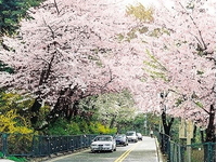 Busan–DaeGu-Seoul-Đảo Nami-Cung điện Kyeongbok-6N5D-KS 3,4 Sao-Vietnam Airlines