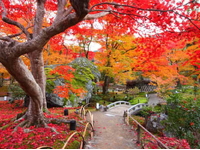 Mùa Lá Đỏ-Xứ Sở Kim Chi-Seoul–Nami-Everland-5N4D-KS 3,4 Sao-Hàng Không VietJet Air