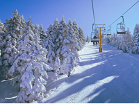 Hà Nội-Khám phá Đất Nước Thảm Bay Thổ Nhĩ Kỳ-9N8D-Ks 3,4 Sao-Hàng Không TURKISH AIRLINES