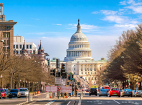 Hoa Anh Đào-Liên Tuyến Đông Tây Hoa Kỳ-Washington-New York-Loes Angeles-10N9D