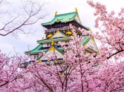 Hoa Anh Đào-Hà Nội–Tokyo-Núi Phú Sĩ–Nagoya-Kyoto-Osaka-6N5D-Hàng Không Vietnam Airlines