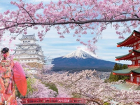 Hoa Anh Đào-Hà Nội–Osaka-Kobe-Kyoto-Phú Sĩ–Tokyo-6N5D-Hàng Không Vietnam Airlines