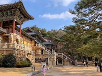 Du Lịch Hè-Hà Nội-Busan-Seoul-Làng Cổ-Nami-Hà Nội-6N5D-Hàng Không VietJet Air