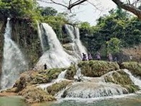 Hà Nội-Mộc Châu-Thác Dải Yếm-Cầu Bạch Long-3N2D-Xe Ô Tô-Thứ 6  Hàng Tuần