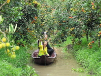 Mùng 2,3,4,5,6,8,9,10 Tết-Miền Tây 01 Ngày-Mỹ Tho-Bến Tre-Cồn Lân