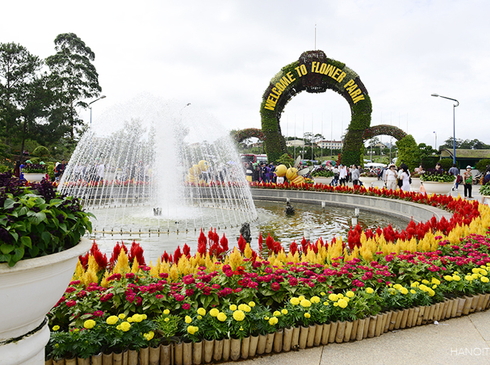 Mùng 2,3,4 Tết-Đà Lạt Thành Phố Sương Mờ-Trải Nghiệm Fresh Garden-Đồi chè Cầu Đất-4N3D-Đường Bộ