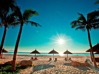 Tối Mùng 1,2,3 Tết-Nét Đẹp Miền Biển-Cao Nguyên Hoa-Nha Trang-Đà Lạt-4N4D-Đường Bộ