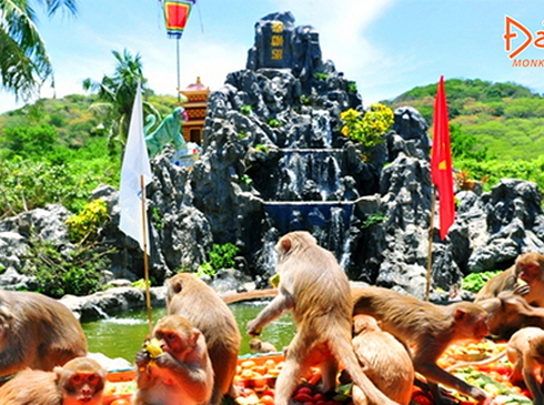 Mùng 2,3,4 Tết-Nha Trang-Tắm Bùn-Vịnh Nha Phu-Đảo Khỉ-3N2D-Đường Bộ