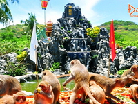 Mùng 2,3,4 Tết-Nha Trang-Tắm Bùn-Vịnh Nha Phu-Đảo Khỉ-3N2D-Đường Bộ