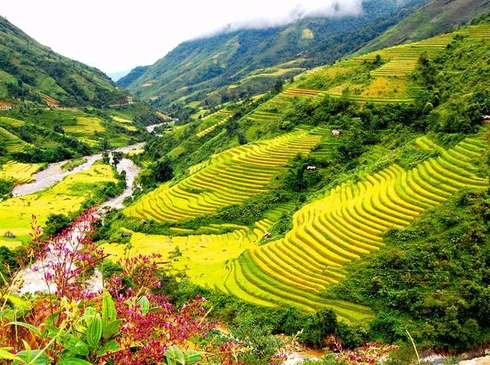 Hồ Chí Minh-Hà Nội-Hạ Long-Bãi Đính Tràng An-Tam Chúc-Sapa-5N4D-Hàng Không Vietnam Airlines