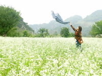 Hồ Chí Minh-Hà Nội-Hạ Long-Bãi Đính Tràng An-Tam Chúc-Mộc Châu-Mai Châu-5N4D-Hàng Không Vietnam Airlines