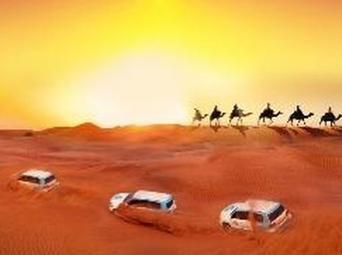 Hà Nội-Dubai-Miracle-Garden-Abu Dhabi-Hà Nội-6N5D-Hàng không Emirates 5 Sao