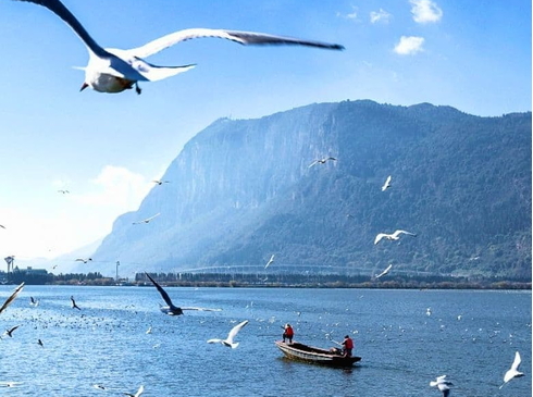 Côn Minh-Đại Lý-Lệ Giang-Shangrila-Núi Tuyết Ngọc Long-6N5D-Hàng Không China Eastern Airlines