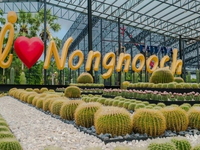 Du Lịch Hè-Bangkok-Pattaya-Công Viên Khủng Long Nongnooch-Buffet 86 Tầng BaiYoke Sky-5N4D-Ks 4 Sao